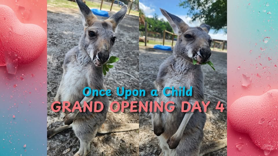 Shop with a Kangaroo at Once Upon a Child!
