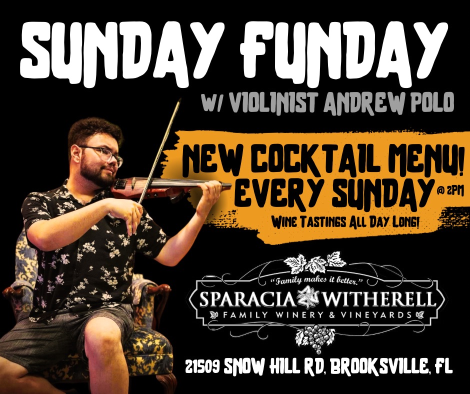 Sunday Funday w/ Violinist Andrew Polo