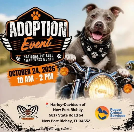 Adoption Event at Harley-Davidson of New Port Richey