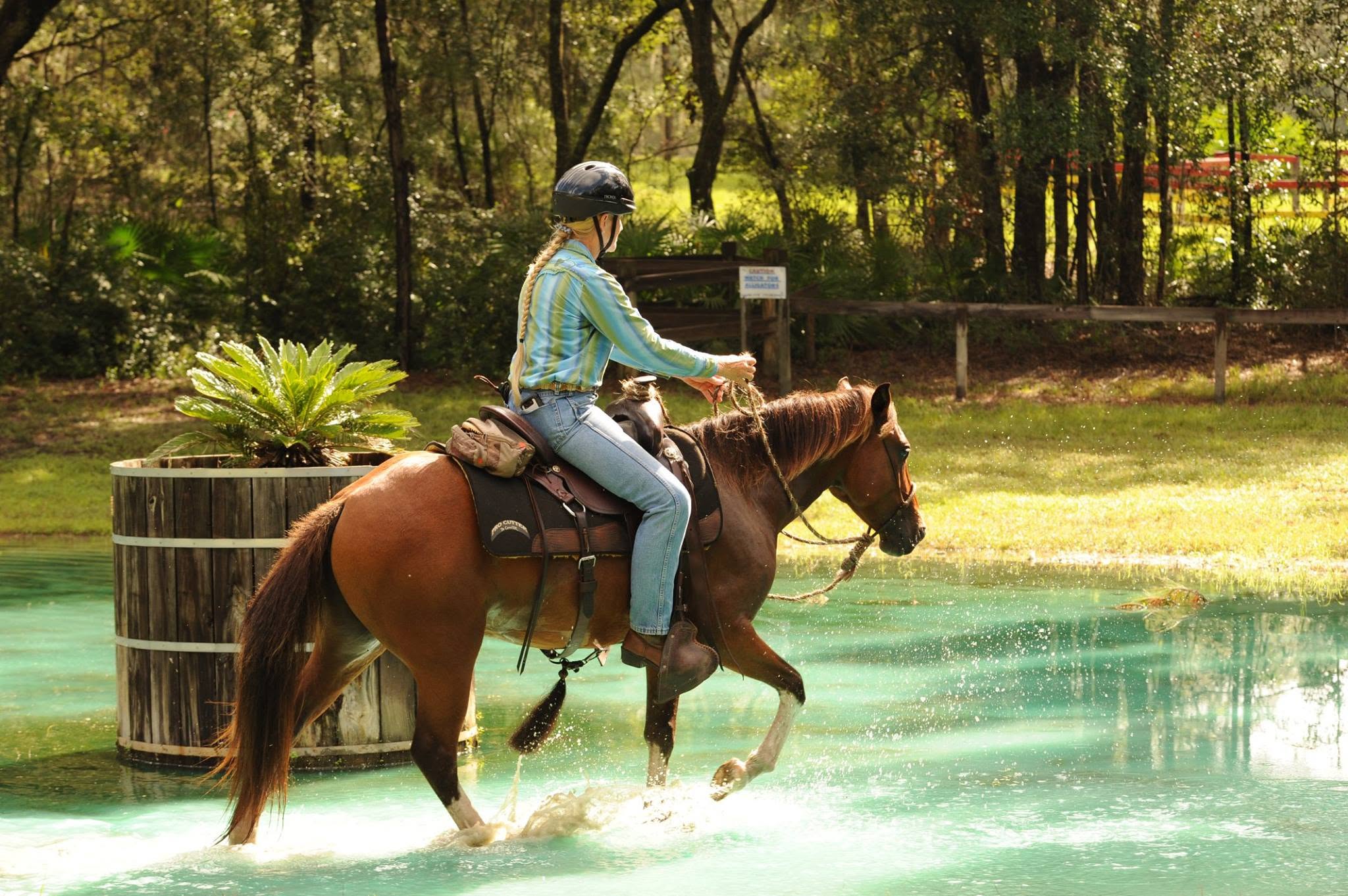 Equine Trail Sports Obstacle Course and Trail Challenge