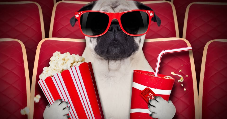 Friday Film at Tarpon Springs Public Library