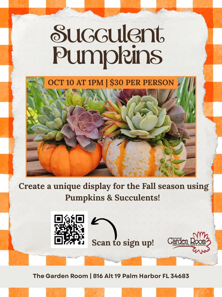 Succulent Pumpkin Workshop at Earthscapes Garden Room